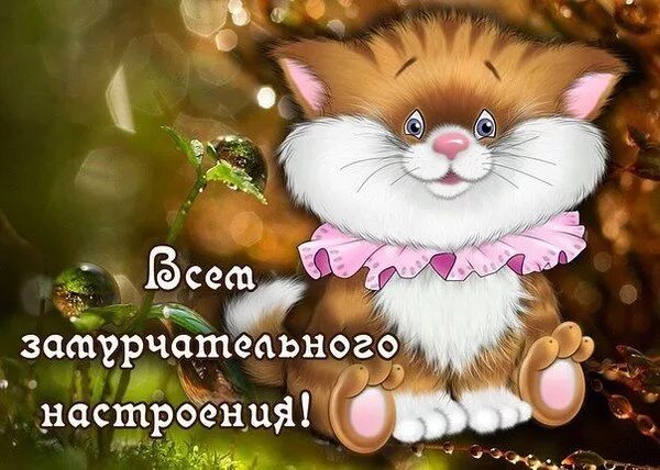 Картинка хорошего дня прикольная для настроения Открытка Всем замурчательного настроения!