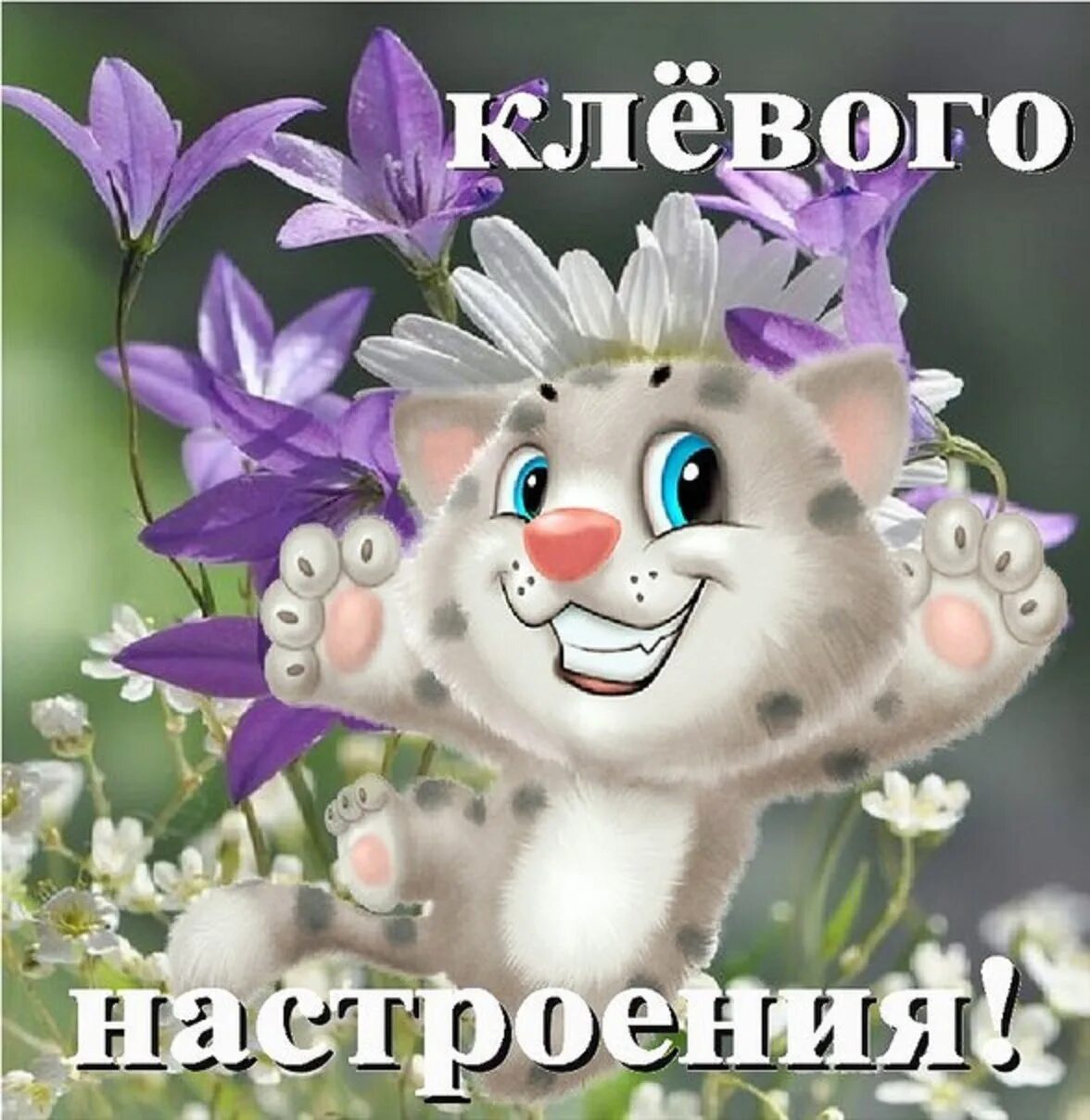 Картинка хорошего дня прикольная для настроения Добрый день и хорошего настроения женщине шуточные: найдено 84 изображений