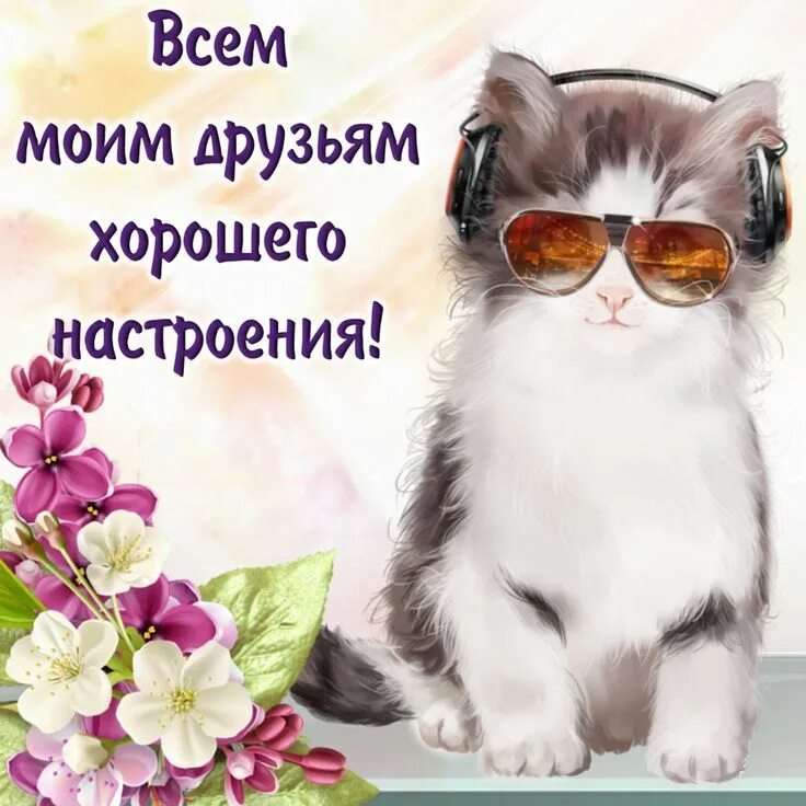 Картинка хорошего дня прикольная для настроения Картинки: "Хорошего настроения!" Картинки, Мемы, Доброе утро