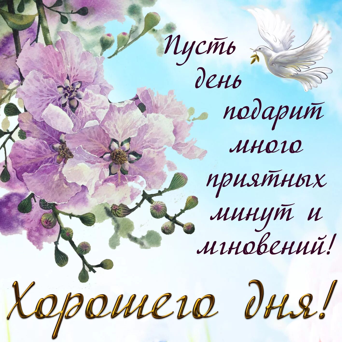 Картинка хорошего дня родители Открытка хорошего дня с голубем и цветами