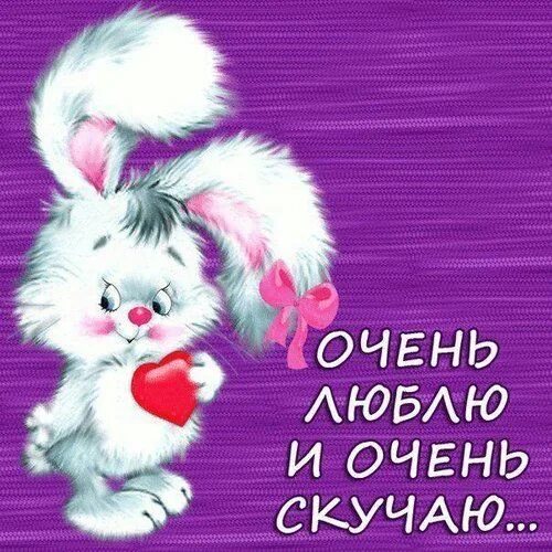 Картинка хорошего дня скучаю Открытки для тех кто в разлуке - скучаю, жду, снишься Poster, Google photos, Ted