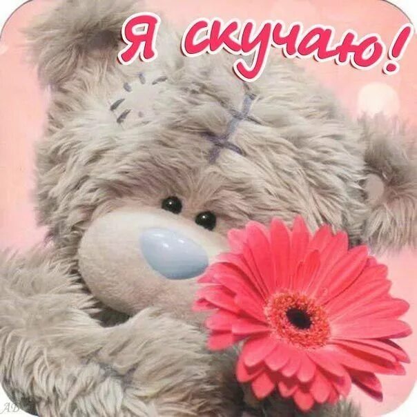 Картинка хорошего дня скучаю Пин от пользователя Noa на доске Скучаю... Открытки, Плюшевые медведи, Милые отк
