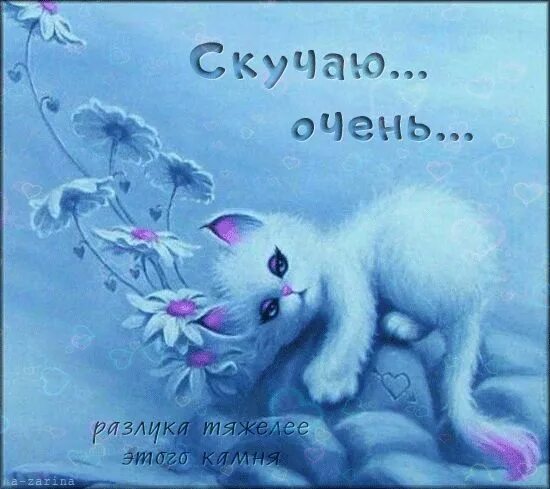 Картинка хорошего дня скучаю Гифка я жду тебя и скучаю с милым котенком, щенком, зайкой любимому человеку! ск