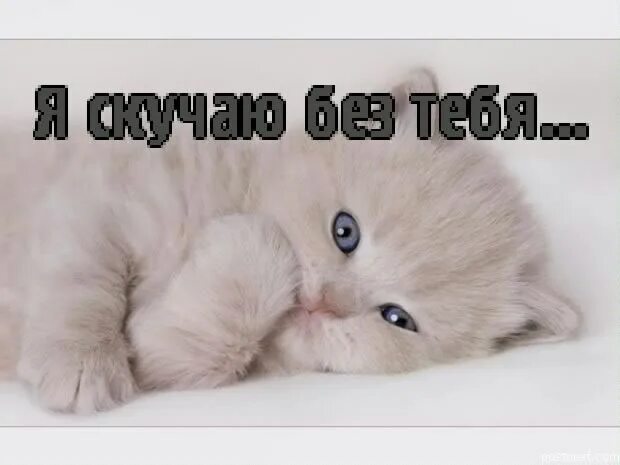 Картинка хорошего дня скучаю Лучше скучать по тебе без тебя: найдено 88 изображений