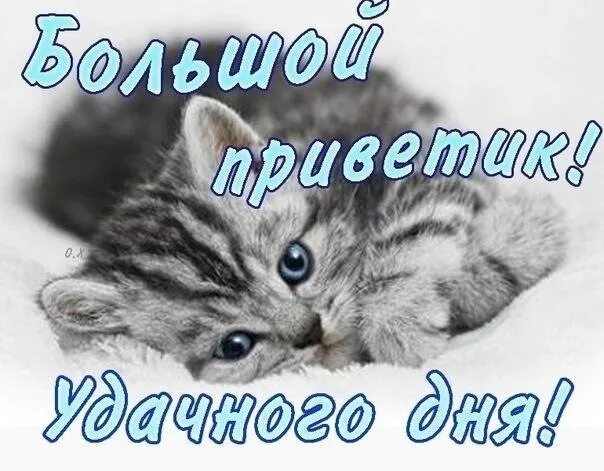 Картинка хорошего дня скучаю Я счастливая, как ни кто, я счастливая лет на сто ! - Chevrolet Cruze (1G), 1,6 