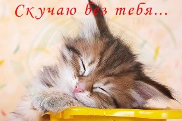 Картинка хорошего дня скучаю мой мальчик..как же я скучаю по тебе:* родненький мой=* я люблю тебя.очень) 2013