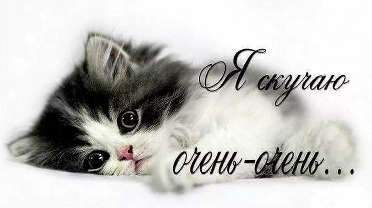 Картинка хорошего дня скучаю Открытки я скучаю я скучаю очень очень.