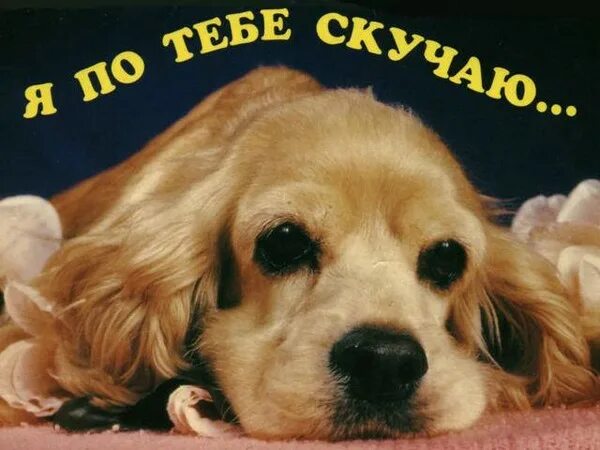 Картинка хорошего дня скучаю Ответы Mail.ru: А Твои глаза говорящие. о ком?