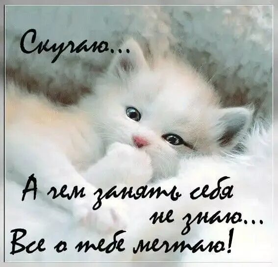 Картинка хорошего дня скучаю Пин от пользователя Likamari Nikolaevna на доске 2 ❌)Красивые открытки С ПОЗДРАВ