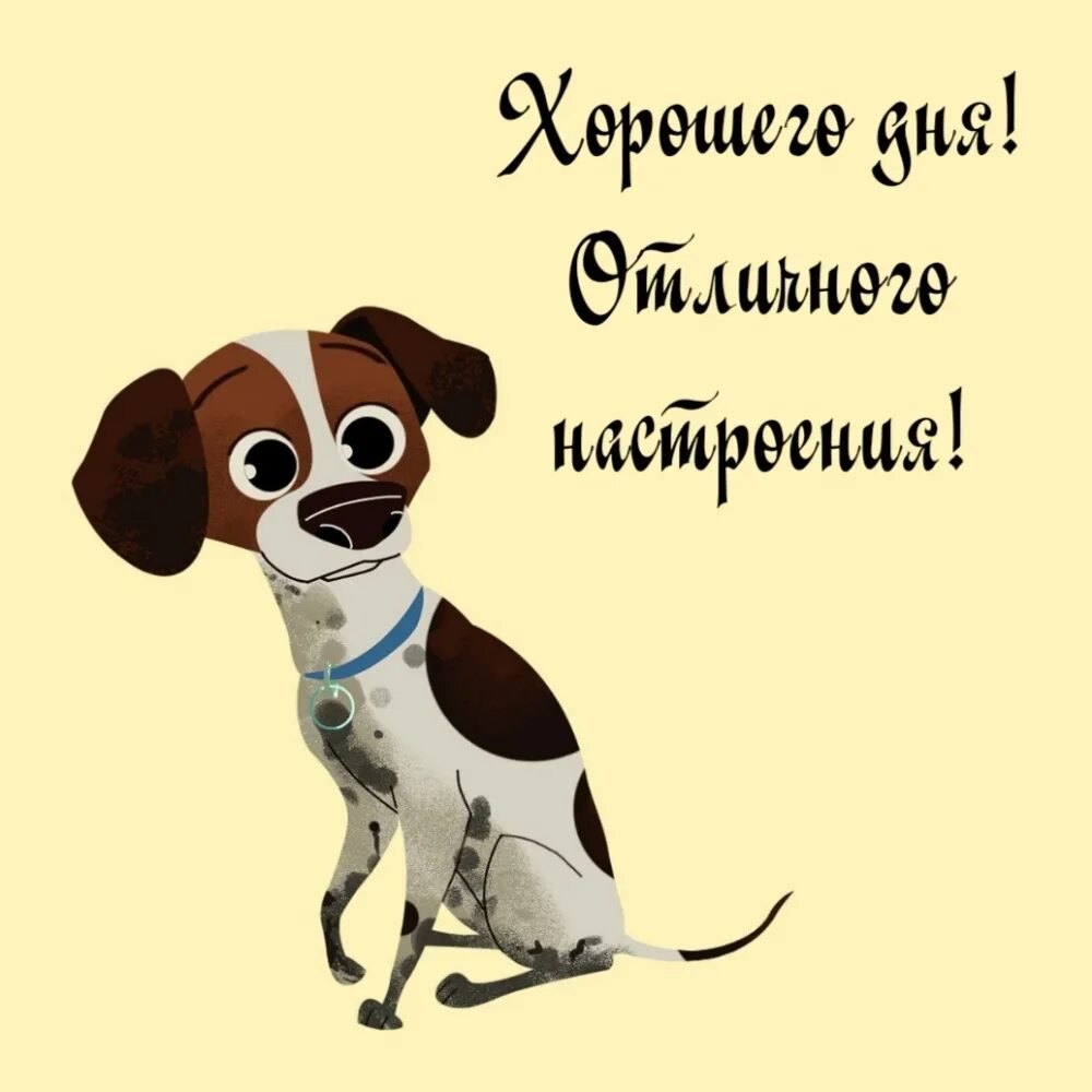 Картинка хорошего дня собаки Картинки с надписью - Хорошего дня! Отличного настроения!