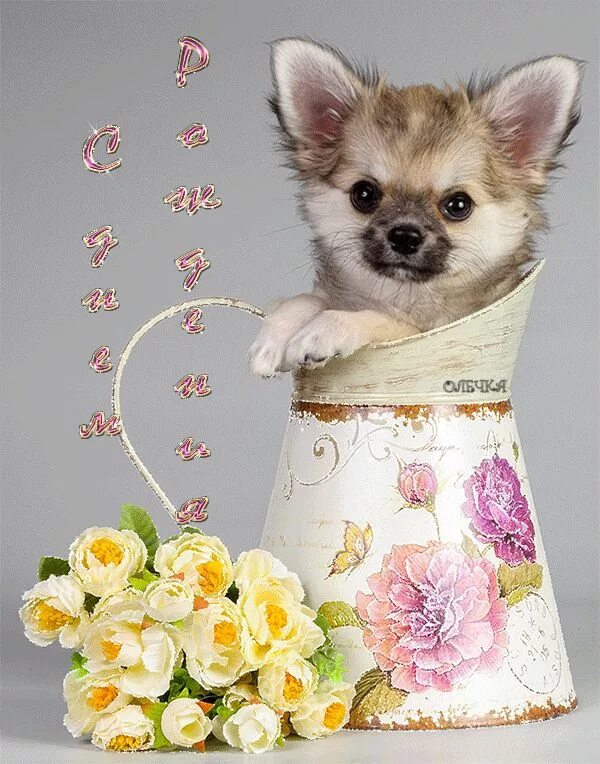 Картинка хорошего дня собаки Поиск дешевых авиабилетов Animals, Gif photo, Dogs