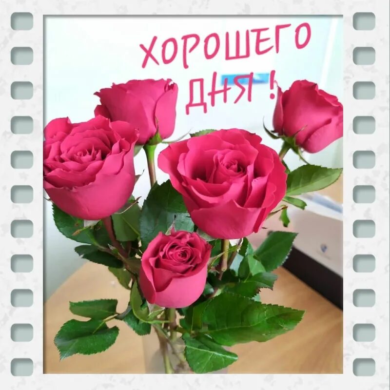 Картинка хорошего дня тетя Открытка хорошего дня с розами - скачать бесплатно
