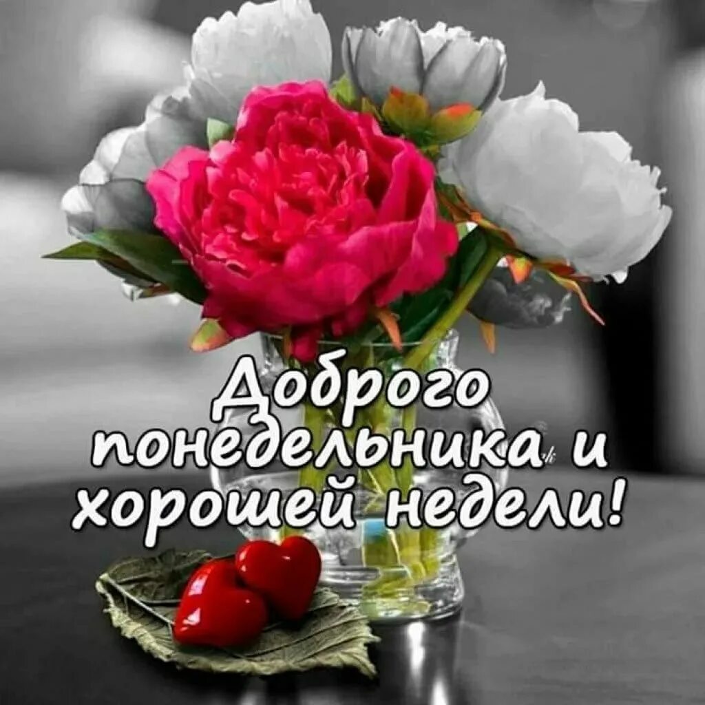 Картинка хорошего дня тетя ПРИВЕТСТВИЯ и ПОЖЕЛАНИЯ, открытки на каждый день. - 22 января 2023 в 22:18