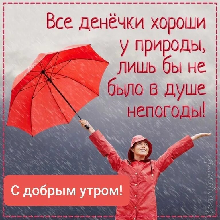 Картинка хорошего дня в дождливую погоду Pin auf Доброго ранку Wochentage, Sprüche
