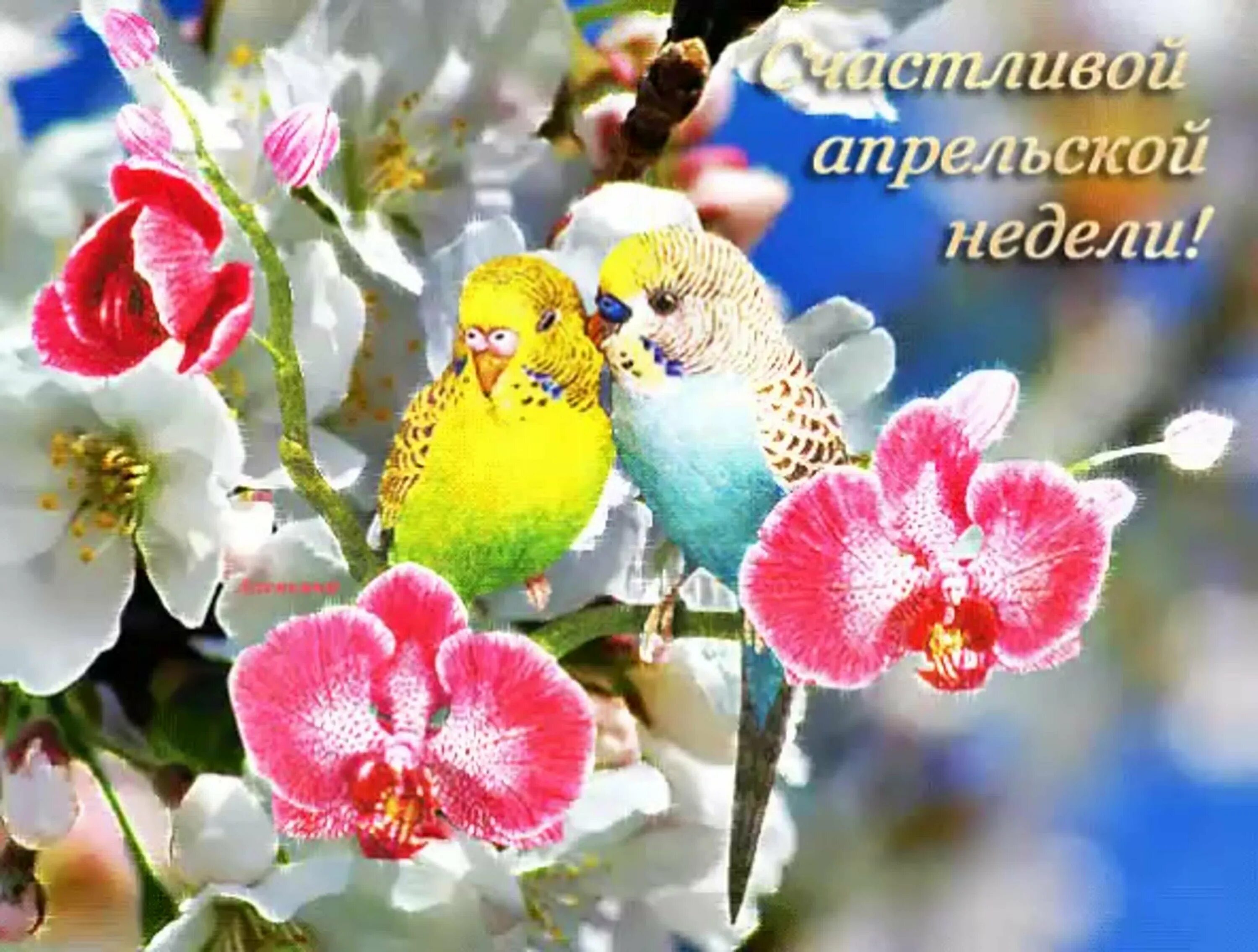 Картинка хорошего дня весна Картинки отличного дня и прекрасного настроения весенние: найдено 88 изображений