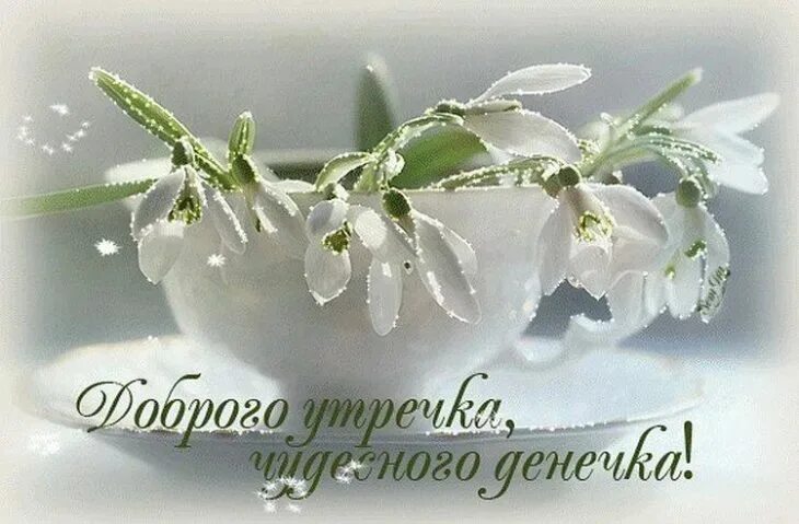 Картинка хорошего дня весна С Добрым утром! Отличного понедельника и удачной недели! Желаем чтобы неделя был