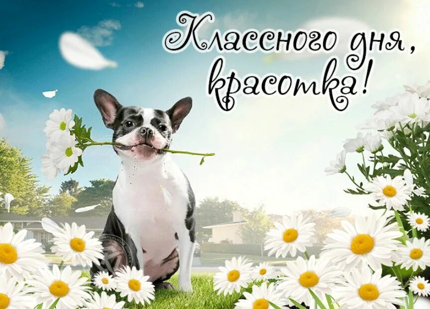 Картинка хорошего дня женщине Картинки с дорого дня: найдено 87 изображений
