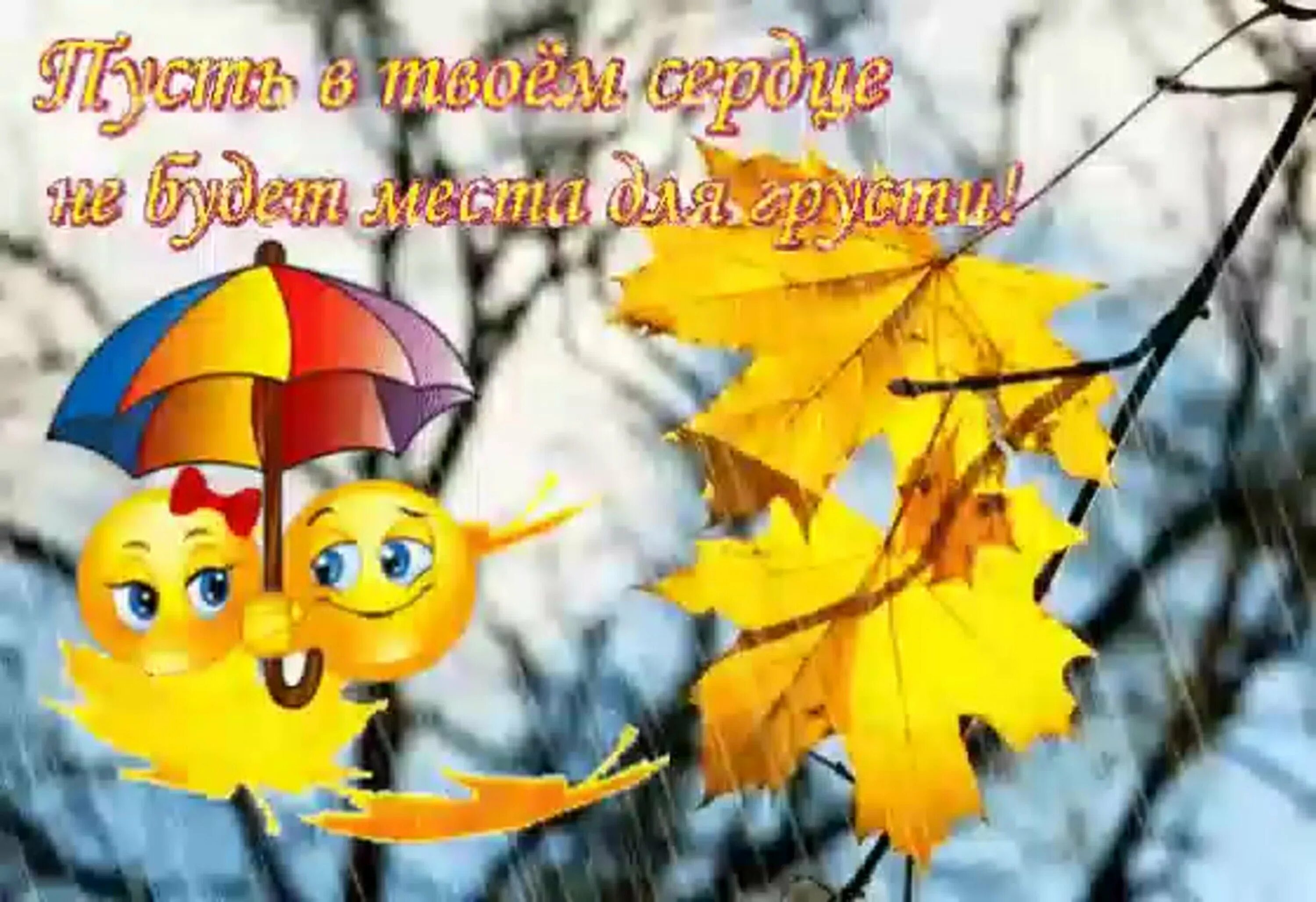 Картинка хорошего осеннего дня и настроения прикольные Утро доброе картинки осень погода: найдено 78 изображений