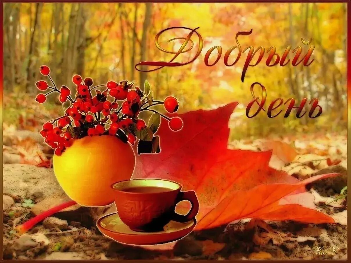 Картинка хорошего осеннего дня и отличного Доброе осеннее утро день картинки: найдено 66 изображений