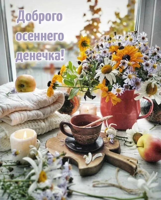 Картинка хорошего осеннего дня и отличного настроения ДОБРОГО ВАМ ДЕНЁЧКА ! 2023 От души, для друзей! ВКонтакте