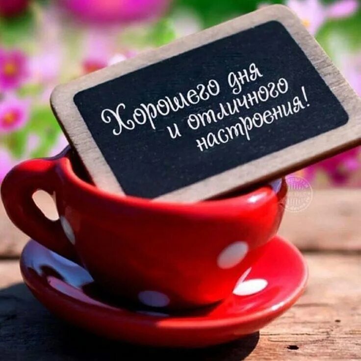 Картинка хорошего плодотворного дня Пин от пользователя Евгения на доске Красота и здоровье Утренние сообщения, Сооб
