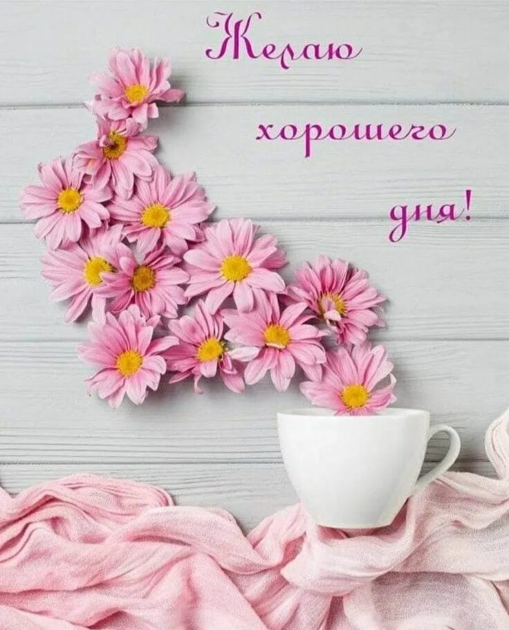 Картинка хорошего плодотворного дня Pin on Пожелания с добрым утром Flower wallpaper, Flowers, Flowers gif