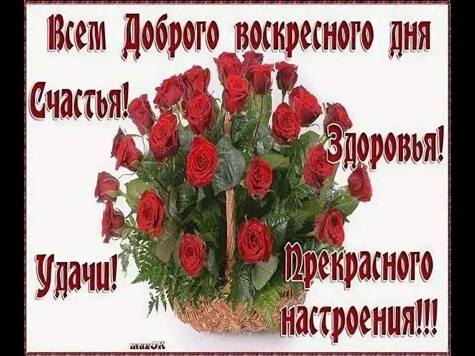 Картинка хорошего воскресного дня и настроения С добрым утром воскресенья !!!... Для любимых, милых, дорогих...!!! - YouTube От