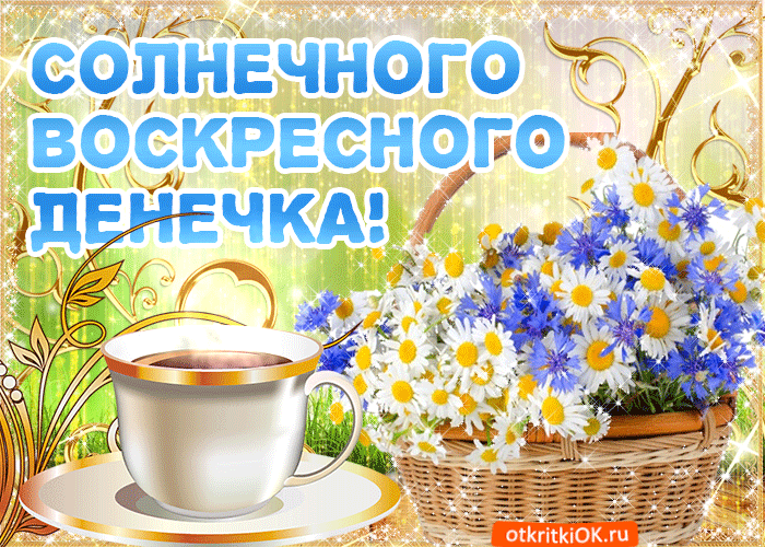 Картинка хорошего воскресного дня и настроения Ответы Mail.ru: Вкупе с каким предметом есть смысл сдавать информатику на ОГЭ (9