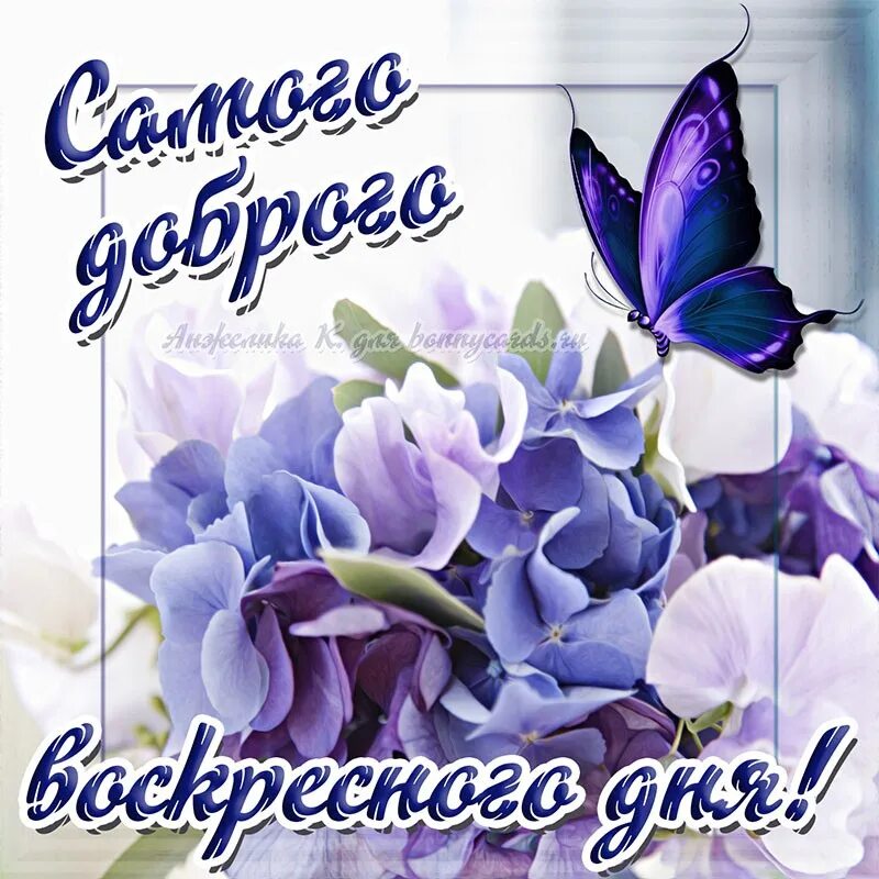 Картинка хорошего воскресного дня и настроения #Открытки - https://vk.com/app6777371 2023 Татьяна Тимачёва ВКонтакте