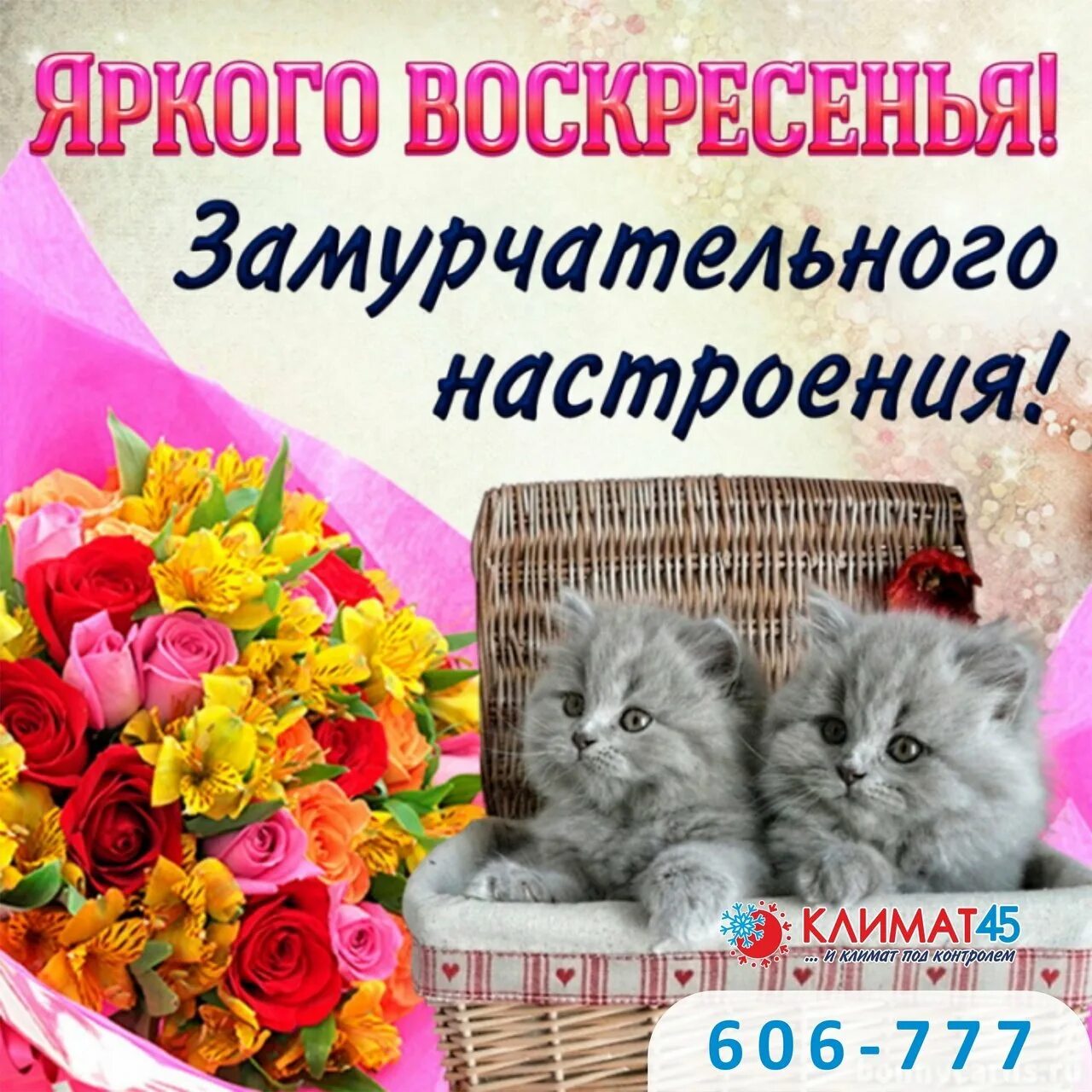 Картинка хорошего воскресного дня и настроения Доброе утро воскресенье котики: найдено 89 изображений