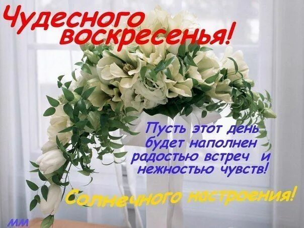 Картинка хорошего воскресного дня и настроения Доброе воскресное утро! Garten