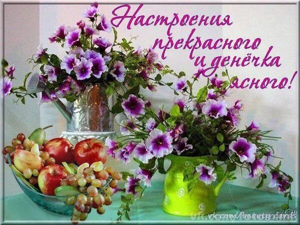 Картинка хорошего воскресного дня и настроения Да уж, не патриций... - Брызги юмора., пользователь Сергей Белов Группы Мой Мир