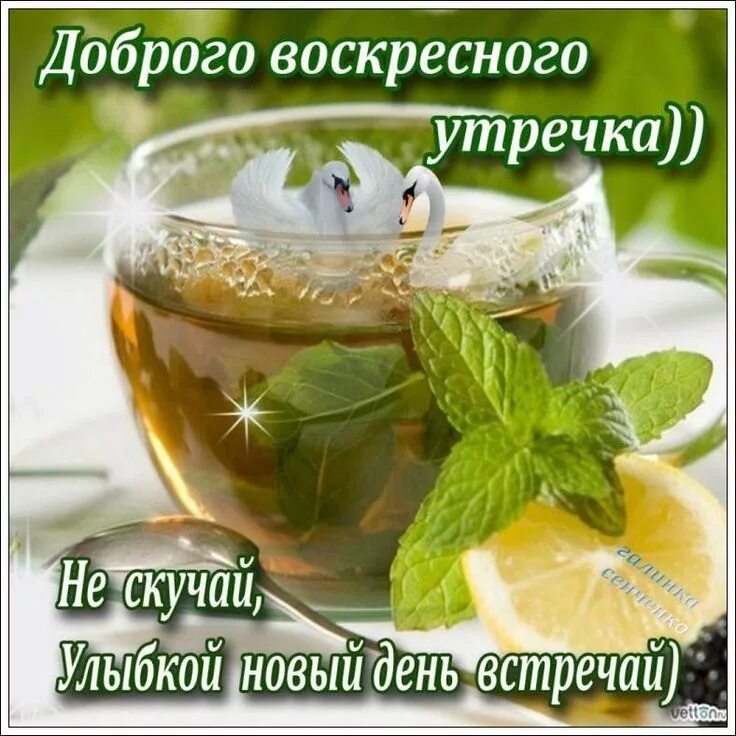 Картинка хорошего воскресного дня и настроения Доброго воскресного утра Счастливое воскресенье, Утро воскресенья, Воскресенье