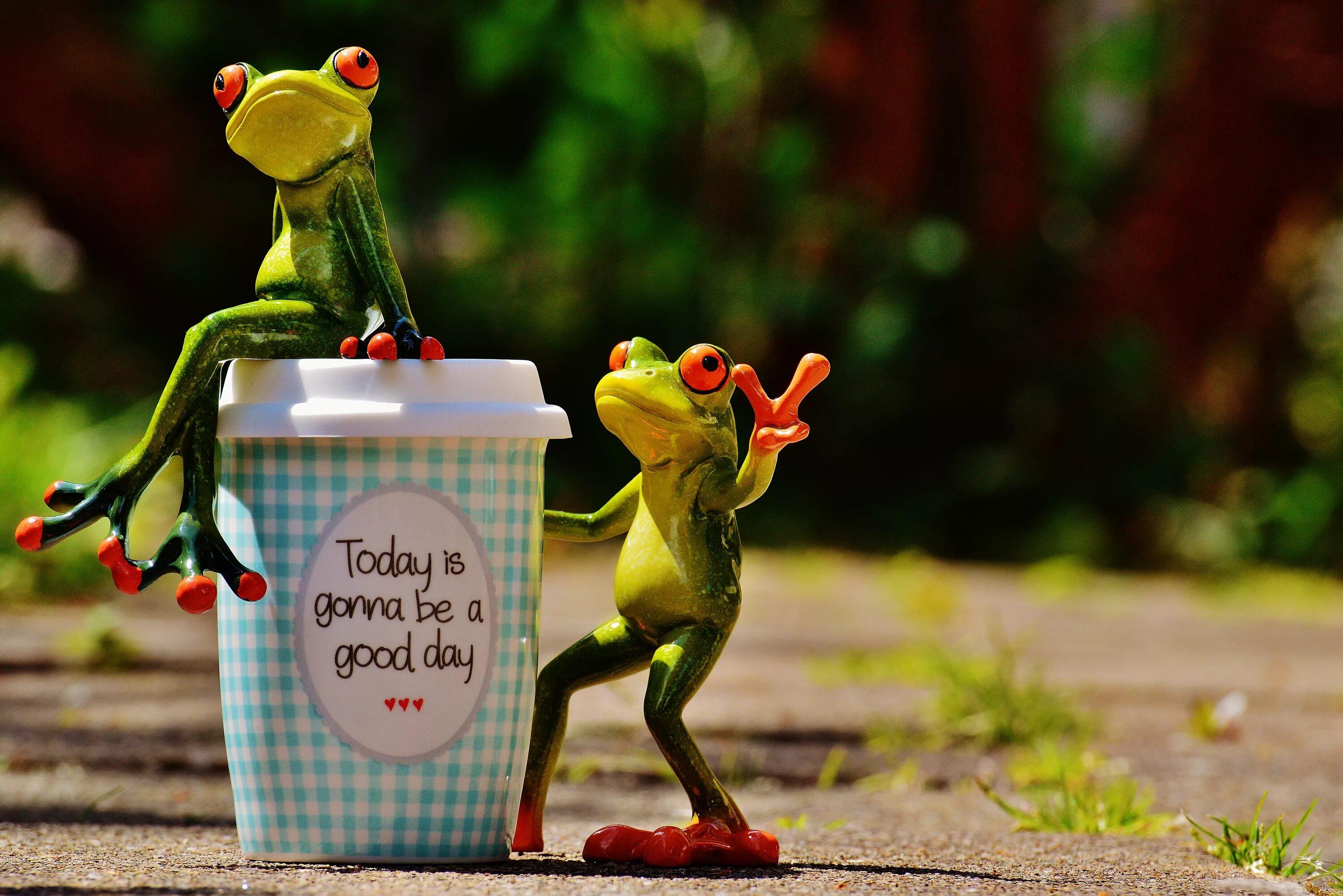 Картинка хорошо прошел день Free Images : coffee, sweet, flower, cute, cup, green, frog, smile, laugh, start