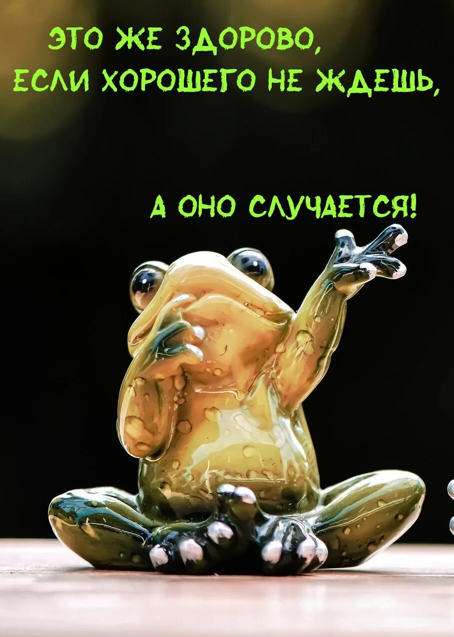 Картинка хорошо прошел день Картинка - Если хорошего не ждешь, а оно случается!