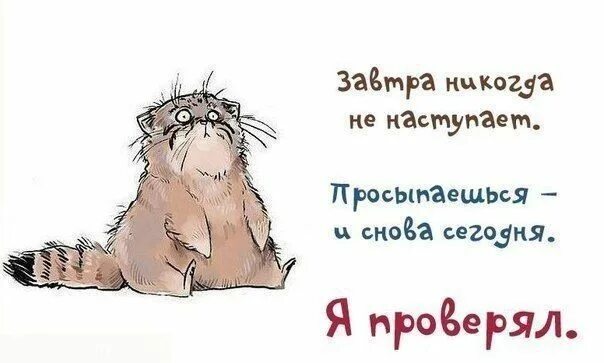 Картинка хорошо прошел день Оптические футболки с прикольными надписями Картинки, Шутки, Юмор