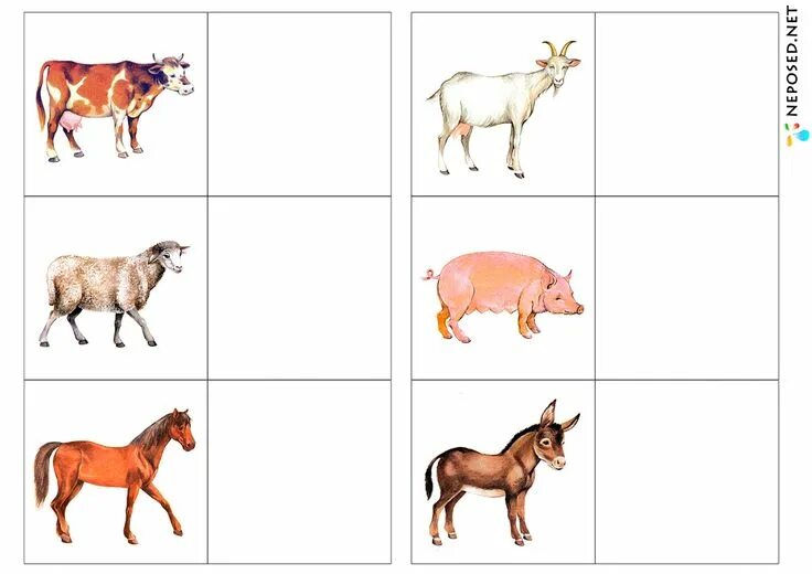 Картинка игры домашние животные Развитие, обучение детей - Neposed.net ВКонтакте Animals, Old friends, Dogs