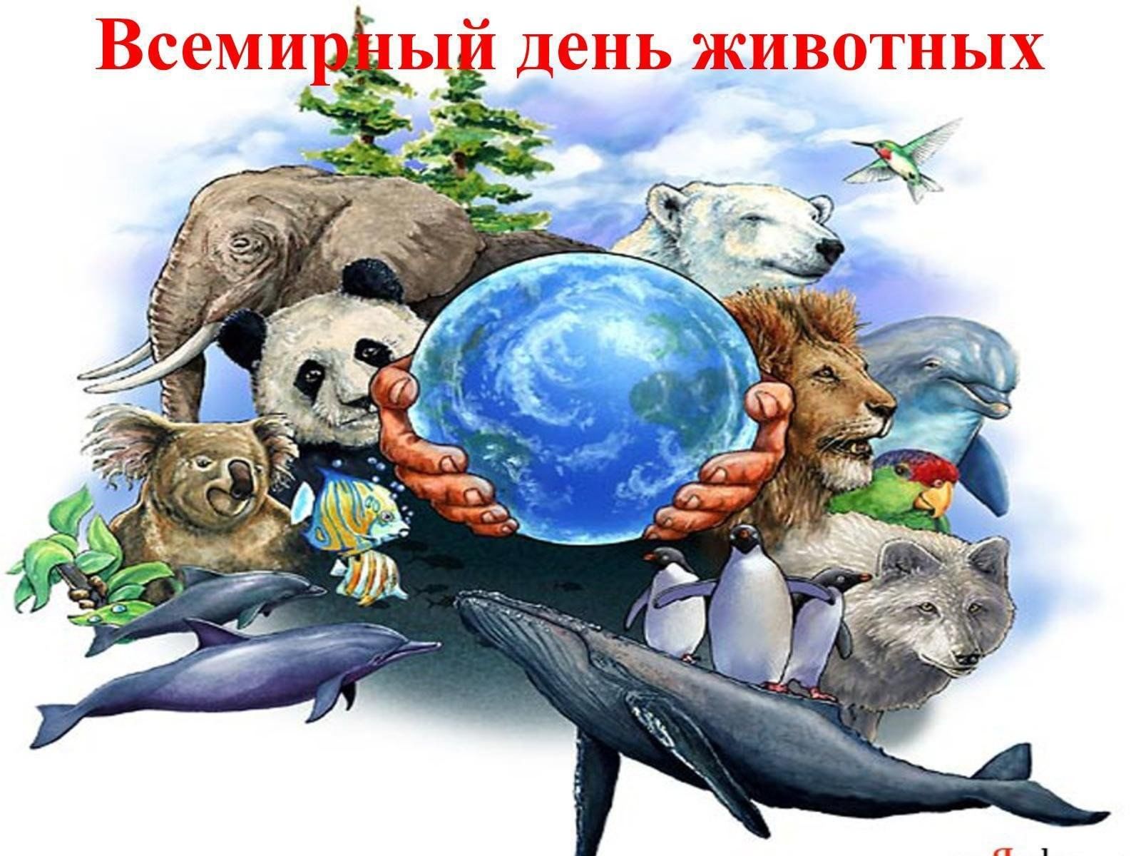 Картинка ко дню животных для детей Экологический ринг "Братья наши меньшие". 2023, Лаишевский район - дата и место 