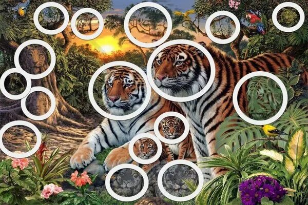 Картинка количество животных Новости и сообщения из официальной группы Вконтакте Магазина зоотоваров ЗооРай н