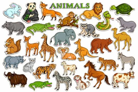 Картинка количество животных Animal Sticker Изображения: просматривайте стоковые фотографии, векторные изобра