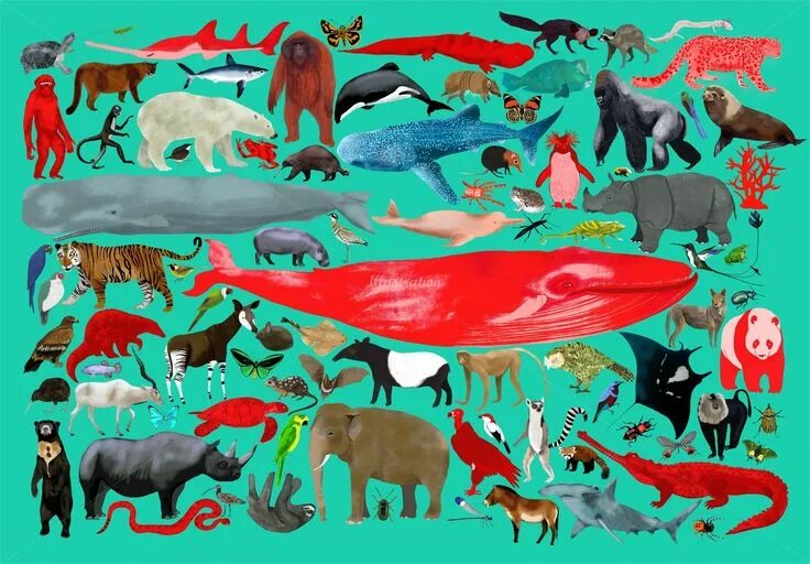 Картинка количество животных Illustrations by commercial Children, Acrylic, Stencil, Wash Painting, Conceptua