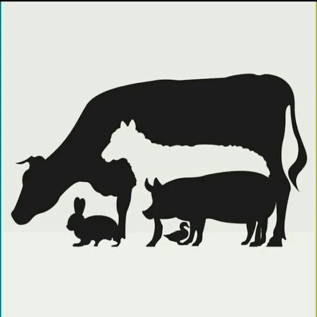 Картинка количество животных Hidden Animal Picture Puzzle Picture puzzles, Animal pictures, Animals