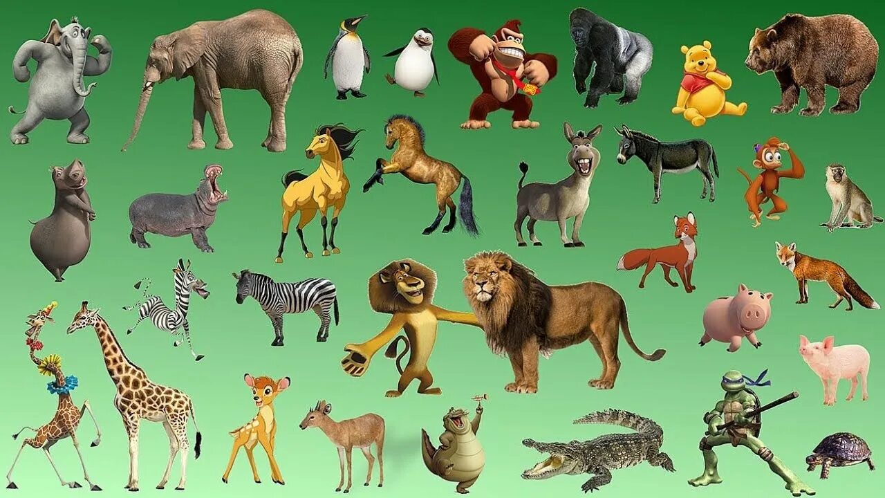 Картинка количество животных Animal Sounds Pets Wild Animals - YouTube
