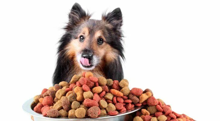 Картинка корм для животных U.S. retail channel sales of pet food and pet supplies approached $44 billion in