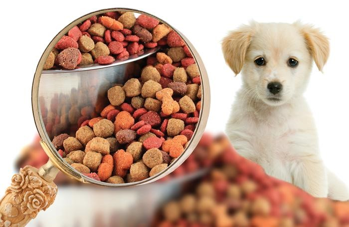 Картинка корм для животных Healthy Dog Food - Seven Secrets to Help You Select the Best Dog food recipes, F