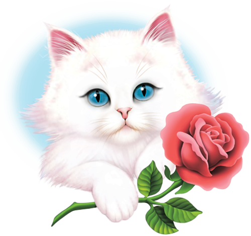 Картинка кот с днем рождения женщине Pin by Virginia Powell on Cross stitch game pics Cute animals images, Black cat 