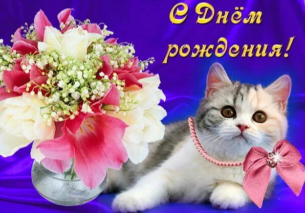 Картинка кот с днем рождения женщине С днём рождения!!!! - Чашка кофе, пользователь Ольга Плесовских Группы Мой Мир
