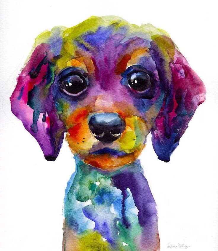 Картинка красками животных Pin by Павел Клешнёв on "ТАКСА В РИСУНКЕ- 2" Puppy art, Dog paintings, Watercolo