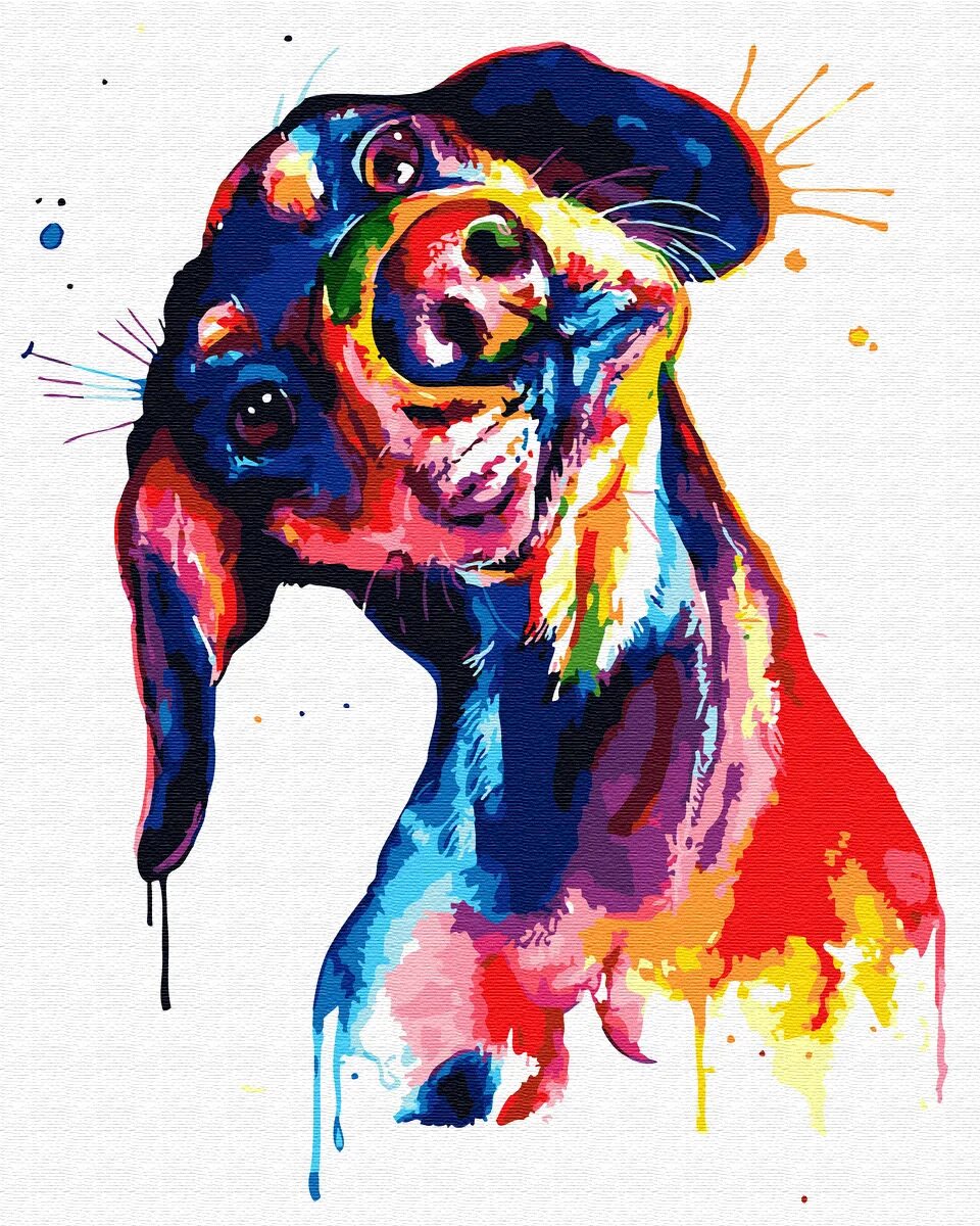 Картинка красками животных Картина по номерам Paintboy 40*50 Цветная такса - купить с доставкой по выгодным