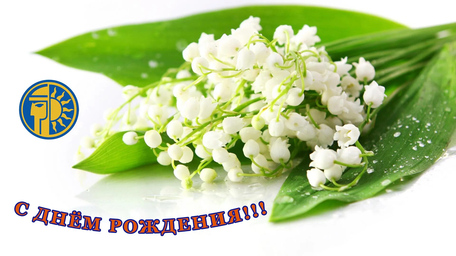 Картинка ландыши с днем рождения женщине День Рождения Ландыш ФАЛЯХОВОЙ! 31.08.2021 Нижний Новгород - БезФормата